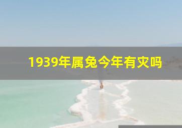 1939年属兔今年有灾吗