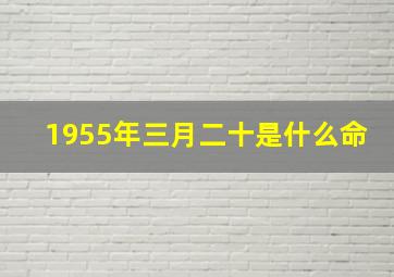 1955年三月二十是什么命