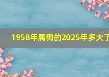 1958年属狗的2025年多大了