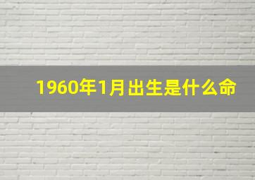 1960年1月出生是什么命