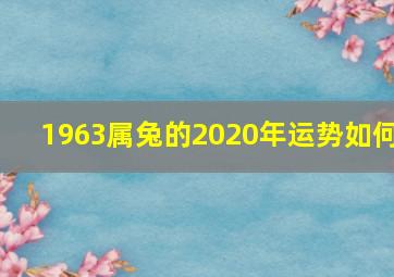 1963属兔的2020年运势如何