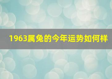 1963属兔的今年运势如何样