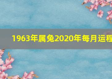 1963年属兔2020年每月运程