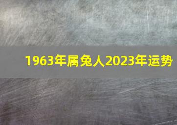 1963年属兔人2023年运势