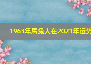 1963年属兔人在2021年运势