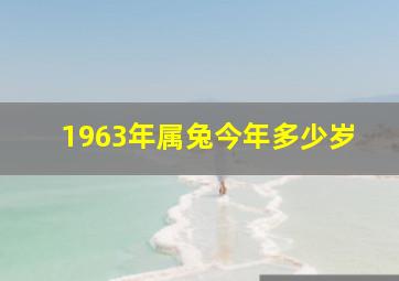 1963年属兔今年多少岁