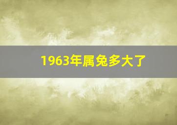 1963年属兔多大了