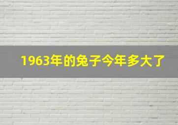 1963年的兔子今年多大了