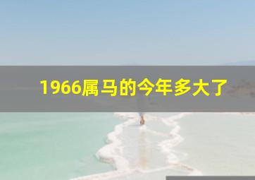 1966属马的今年多大了