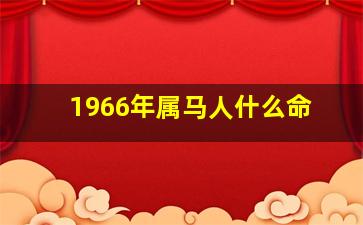 1966年属马人什么命