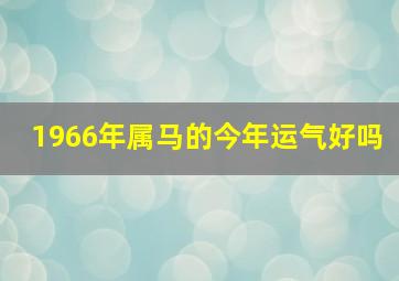 1966年属马的今年运气好吗