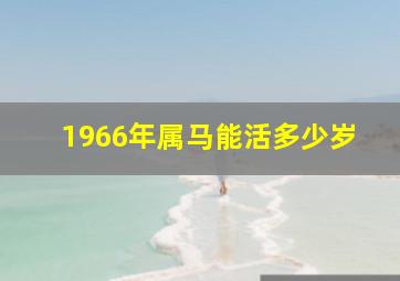 1966年属马能活多少岁