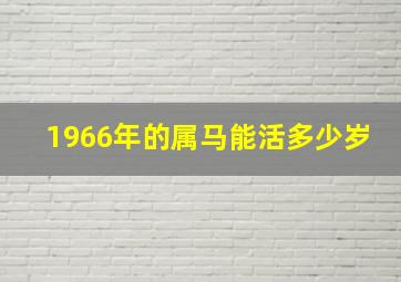 1966年的属马能活多少岁