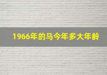 1966年的马今年多大年龄