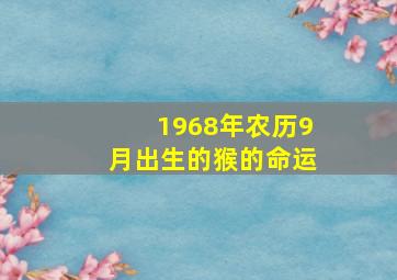 1968年农历9月出生的猴的命运