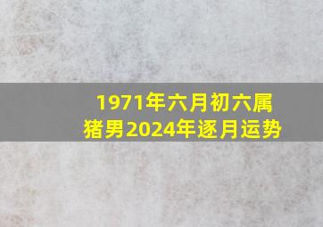 1971年六月初六属猪男2024年逐月运势