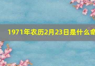 1971年农历2月23日是什么命