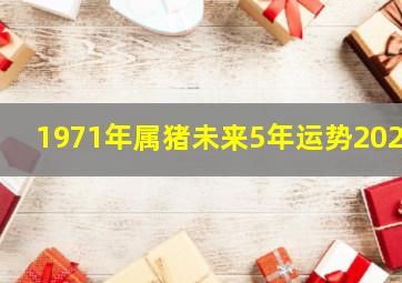 1971年属猪未来5年运势2021