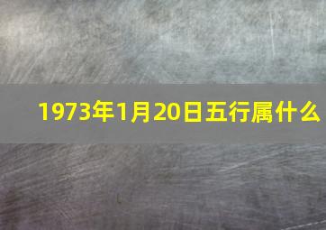 1973年1月20日五行属什么