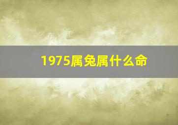 1975属兔属什么命