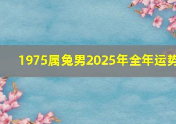 1975属兔男2025年全年运势