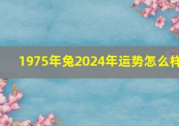 1975年兔2024年运势怎么样