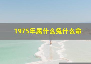 1975年属什么兔什么命