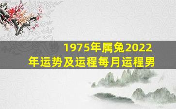 1975年属兔2022年运势及运程每月运程男