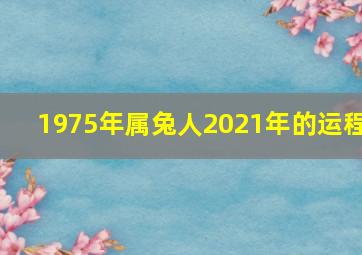 1975年属兔人2021年的运程