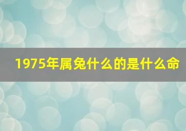 1975年属兔什么的是什么命