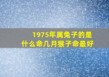 1975年属兔子的是什么命几月猴子命最好