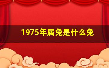 1975年属兔是什么兔