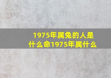 1975年属兔的人是什么命1975年属什么