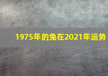 1975年的兔在2021年运势