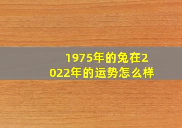 1975年的兔在2022年的运势怎么样