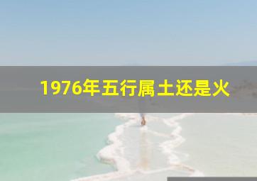 1976年五行属土还是火