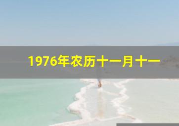 1976年农历十一月十一