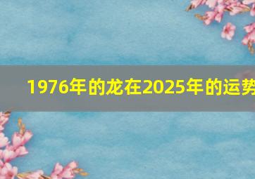 1976年的龙在2025年的运势