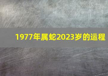 1977年属蛇2023岁的运程