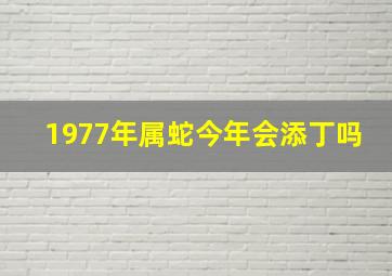 1977年属蛇今年会添丁吗