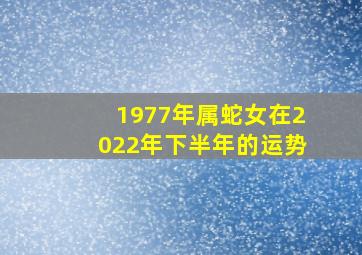 1977年属蛇女在2022年下半年的运势