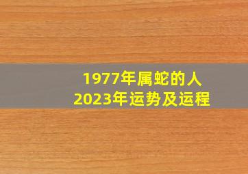 1977年属蛇的人2023年运势及运程