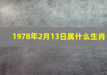 1978年2月13日属什么生肖