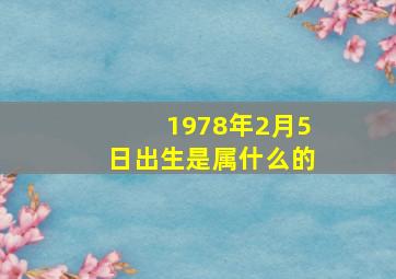 1978年2月5日出生是属什么的