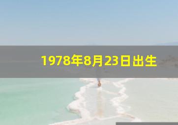 1978年8月23日出生