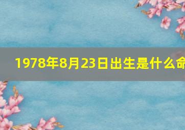 1978年8月23日出生是什么命