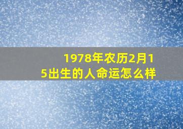 1978年农历2月15出生的人命运怎么样