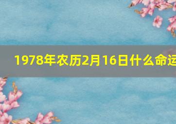 1978年农历2月16日什么命运