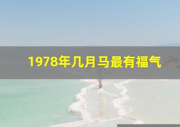 1978年几月马最有福气