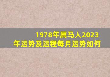 1978年属马人2023年运势及运程每月运势如何